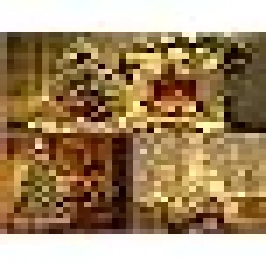 Waterproof Fairy Twinkle Lights for Christmas Party {3}