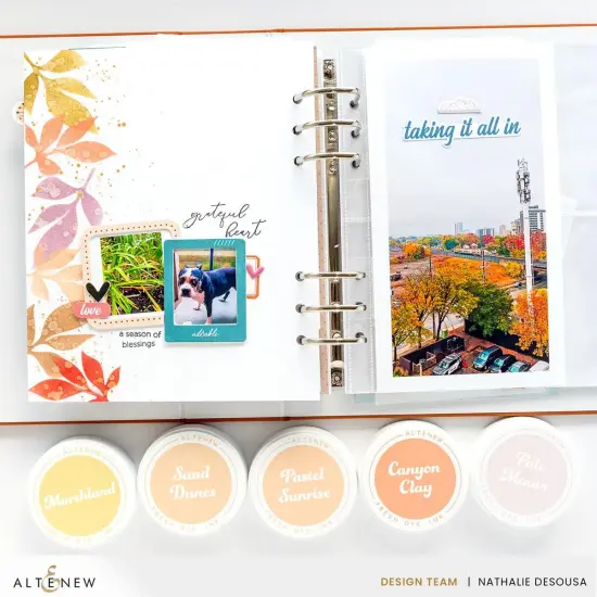 Sugarplums Fresh Dye Ink Mini Cube Set {3}