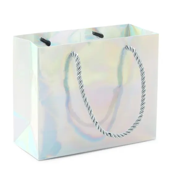 24 Pack Mini Metallic Silver Gift Bags with Rope Handles, Reusable Paper Gift Bags (6 x 5 x 2.5 In) {6}
