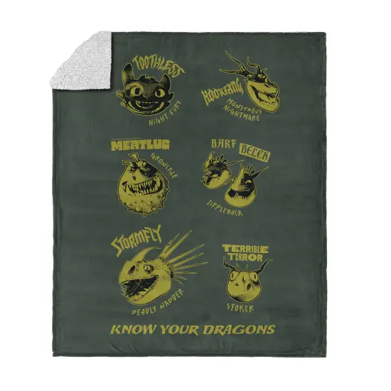 Universal How to Train Your Dragon Silk Touch Sherpa Throw Blanket Know Your Dragons {1}