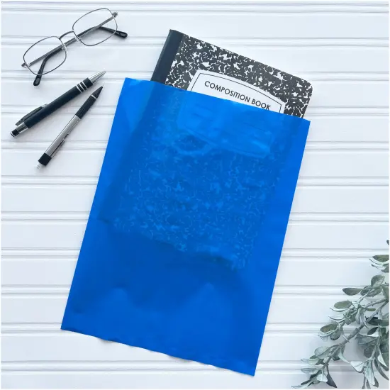Plymor 9" x 12", Blue 2 Mil Flat Open Plastic Poly Bags {4}