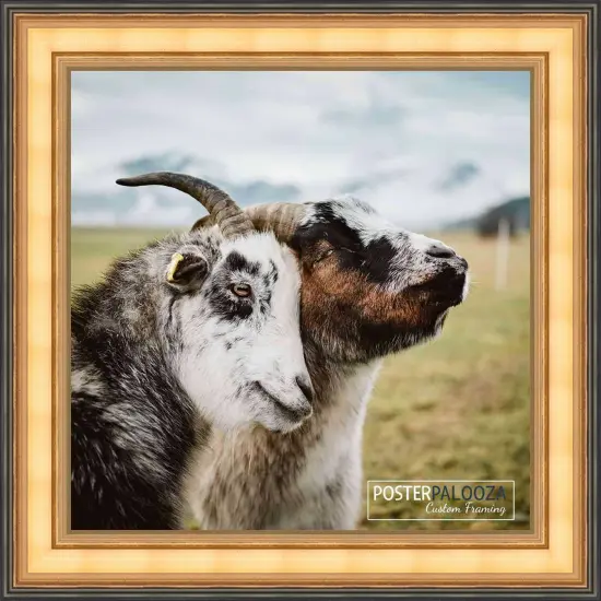 20x20 Traditional Gold Picture Frame - UV Acrylic, Foam Board Backing, Hanging Hardware {4}