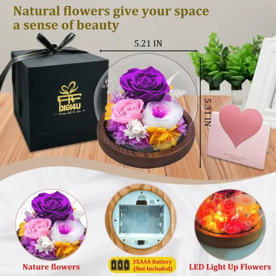 Valentines Day Gifts for Her, Real Rose Flowers Bouquet in Glass Dome with Light, Birthday Gifts for Women Wife Grandma Nana Mothers Day Anniversary, Mom Gifts from Daughter Son {2}