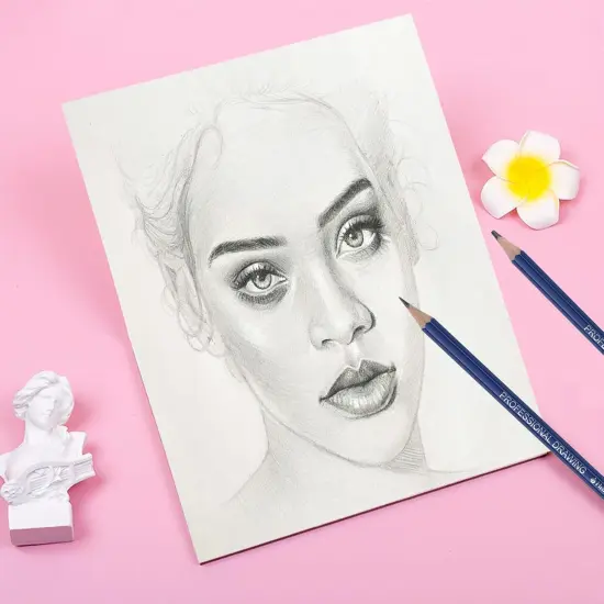 Drawing Sketching Pencil Set, 26 pcs Draw Supplies Kit, 14 Graphite (12B -6H), Charcoal Erasers Sharpener Extender, Ideal for Drawing Art, Sketching, Shading, Artist Pencils for Beginners Pro Artists {4}