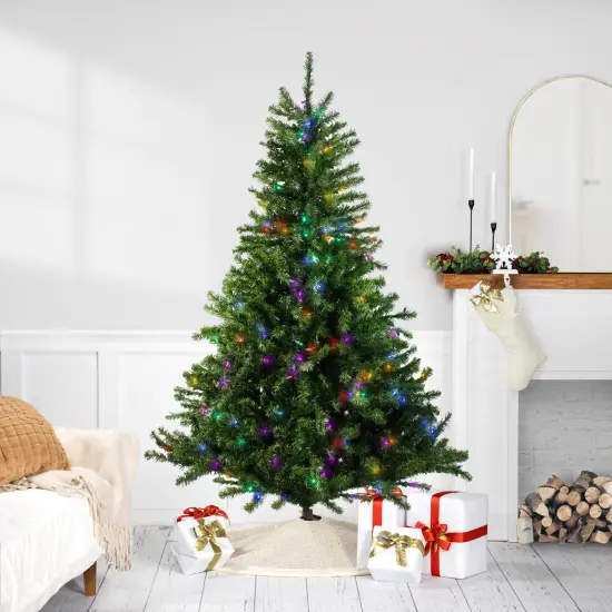 Northlight Pre-Lit LED Canadian Pine Artificial Christmas Tree - 6' - Multi Lights Green {1}