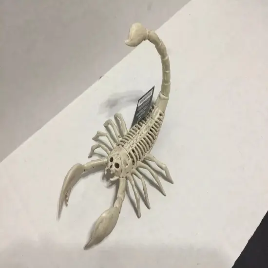 Realistic Skeleton Scorpion with Durable Injection Plastic 9 Inches Long {3}