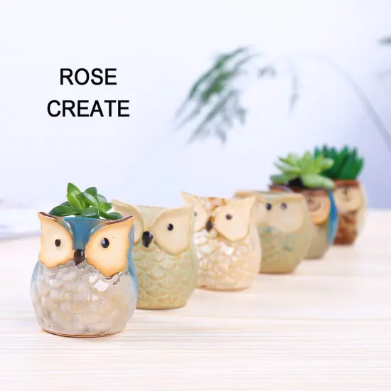 6 Pcs 2.5 Inches Owl Ceramic Pots {2}