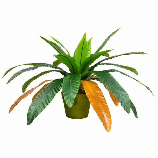 Northlight Two-Tone Bird Nest Fern Artificial Potted Plant - 22" - Green and Brown {3}