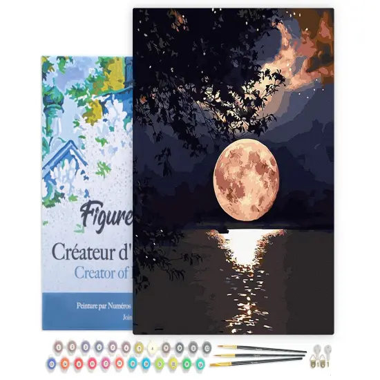 Figured'Art Paint by Numbers for Adults with Frame Moon Reflection on the Lake 16"x20" - Craft Art Painting DIY Kit Canvas Already Stretched on a Wooden Frame {1}