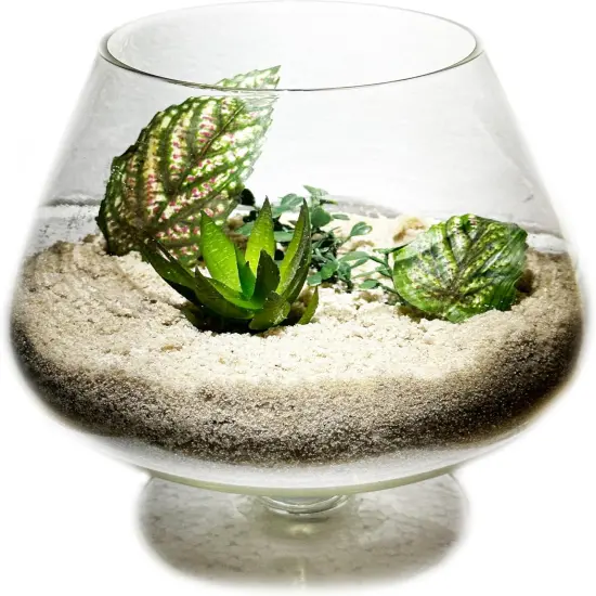 2 Pounds Natural Decorative Sand - Vase Filler {2}