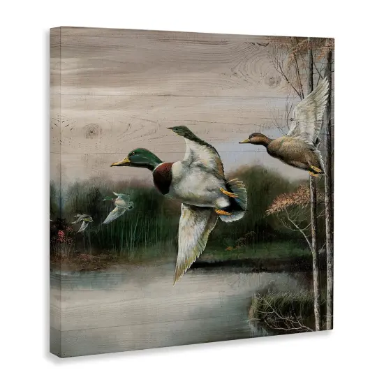 Stupell Industries Flying Ducks in Rustic Nature Canvas Design by Ruane Manning {3}