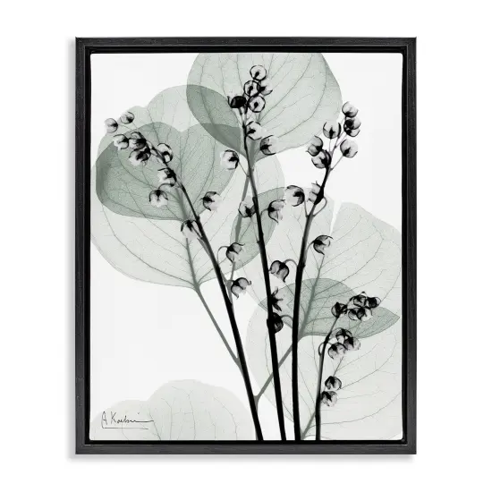 Stupell Industries Fresh Minimalist Herbs Floating Frame Design by Albert Koetsier {7}