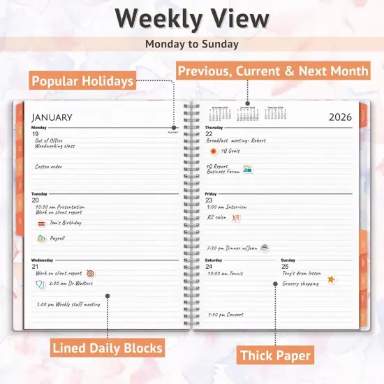 Academic Planner 2025-2026 - 8.5 x 11 (Watercolor) {4}
