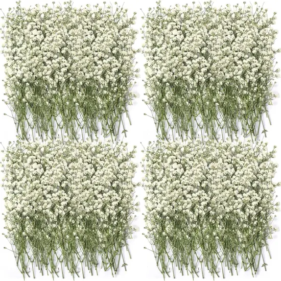 200 Pcs Mini Dried Babys Breath Flowers Bulk White Dried Pressed Natural Flowers Real Gypsophila Baby Breath for Wedding Resin Art Craft DIY Invitations Card Making Home Party Floral Decor {1}