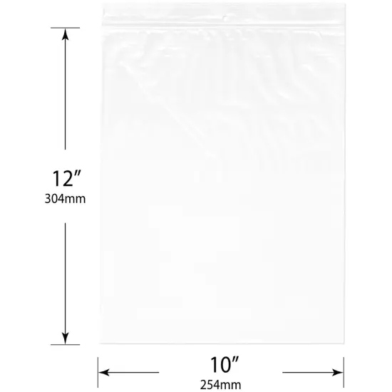 Plymor 10" x 12", 2 Mil with Hang-Hole Zipper Reclosable Plastic Bags {3}