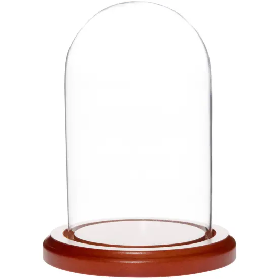 Plymor 3" x 5" Glass Display Dome Cloche Walnut MDF {1}