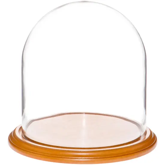 Plymor 9.75" x 10" Glass Display Dome Cloche Oak Veneer {1}