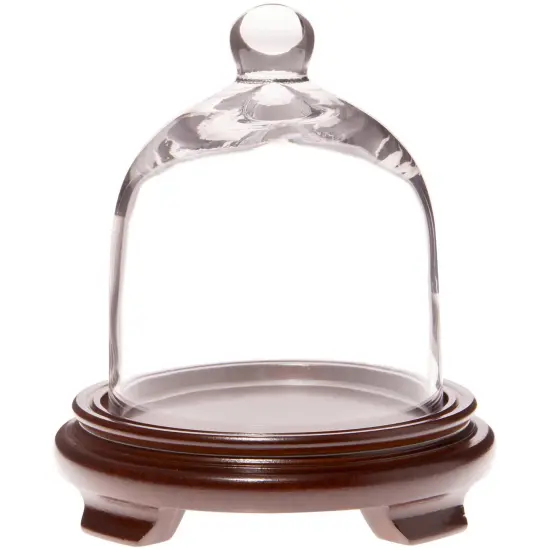 Plymor 5" x 6" Bell Jar Glass Display Dome Cloche Walnut Wood Veneer {1}