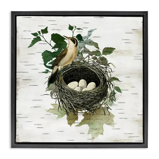 Stupell Industries Vintage Bird Nest & Flora Floating Frame Design by Susan Arnot {1}