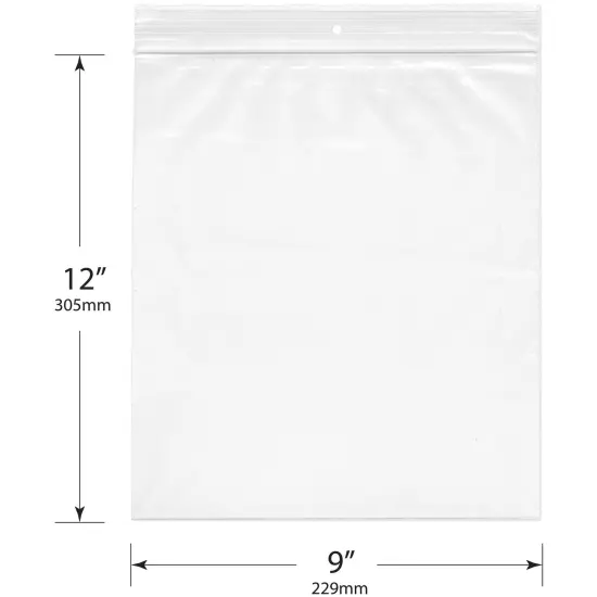 Plymor 9" x 12", 2 Mil with Hang-Hole Zipper Reclosable Plastic Bags {3}