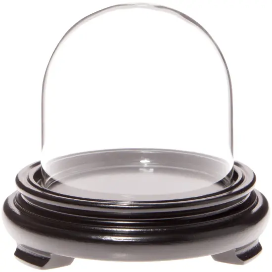 Plymor 3" x 3" Glass Display Dome Cloche Walnut Wood Veneer {2}