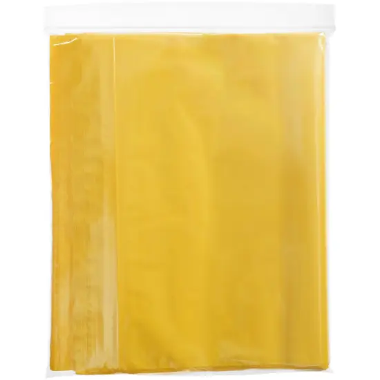 Plymor 9" x 12", Yellow 2 Mil Zipper Reclosable Plastic Bags {5}