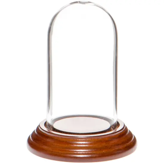 Plymor 1.85" x 3.5" Mini Glass Display Dome Cloche Walnut Veneer {1}