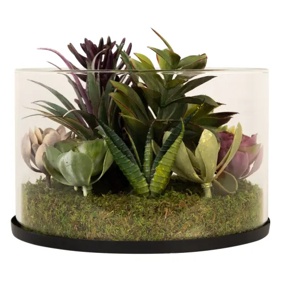 Northlight Mixed Succulent Artificial Arrangement in Round Glass Jar - 8" Green {6}