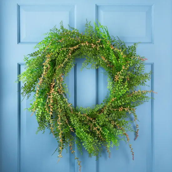 Northlight Mixed Boxwood Fern Artificial Wreath - 24" Green {1}