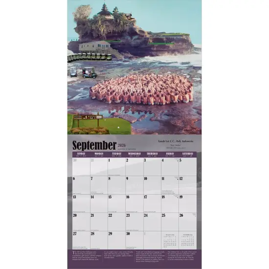 World's Toughest Golf Holes OFFICIAL | 2026 12 x 24 Inch (Hanging) Monthly Square Wall Calendar | Plastic-Free {4}