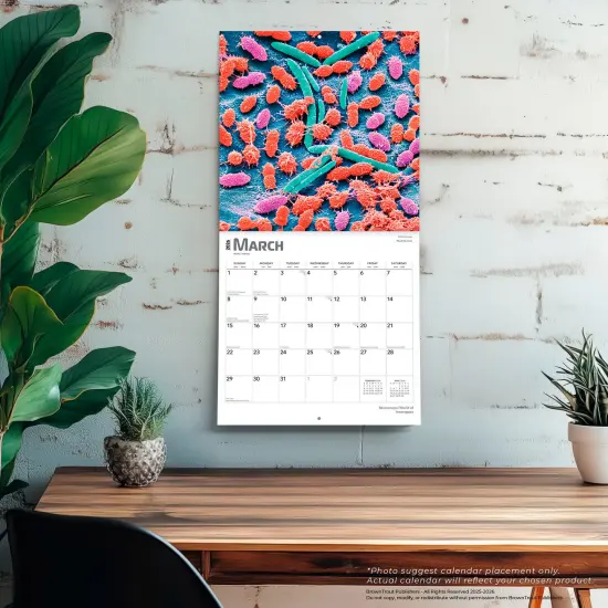 Microscopic World of Innerspace | 2026 12 x 24 Inch (Hanging) Monthly Square Wall Calendar | Plastic-Free {5}