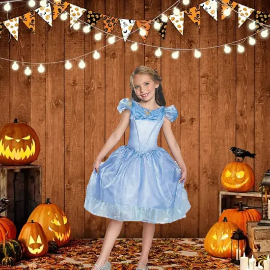 Girls Cinderella Costume Magical Blue Party Dress {1}