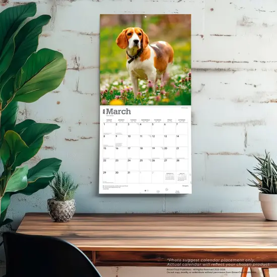 Beagles | 2026 12 x 24 Inch (Hanging) Monthly Square Wall Calendar | Plastic-Free {5}