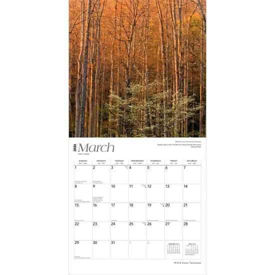 Tennessee Wild & Scenic | 2026 12 x 24 Inch (Hanging) Monthly Square Wall Calendar | Plastic-Free {3}