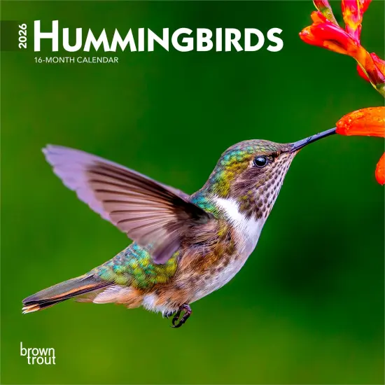 Hummingbirds | 2026 7 x 14 Inch (Hanging) Monthly Mini Wall Calendar {1}
