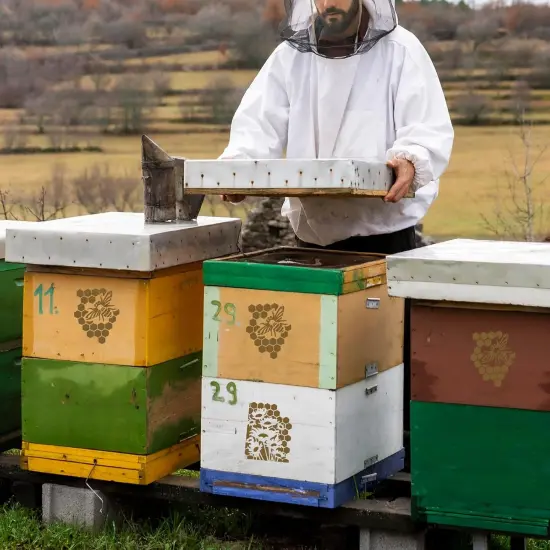 12Pcs Mixed Stencils - 11&times;7'' {4}