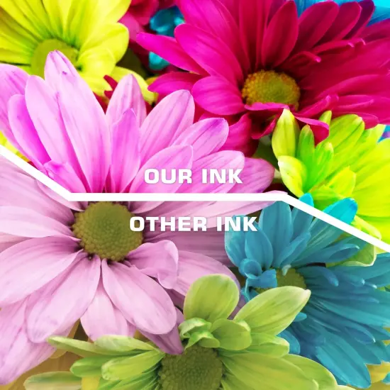 6-Color 100ml Ink Cartridge Refill Kit for Canon PG243/245/275 & CL244/246/276 XL PIXMA {5}