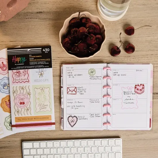 Happy Planner Big Sticker Value Pack 30/Sheets-Everyday Coquette {7}