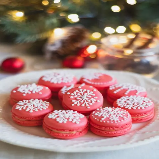 Cranberry Macaron - Premium Fragrance Oil {1}
