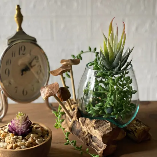 Handcrafted Glass Vase with Teak Driftwood and Wood Mushroom Embellishments Brown {6}
