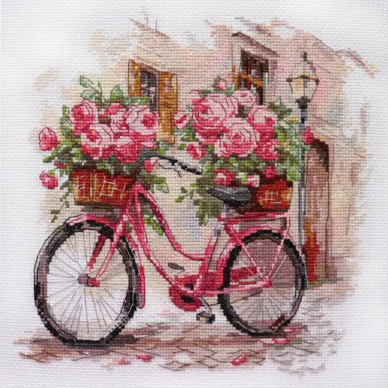 Cross-stitch kit - The long-awaited rendezvous {1}