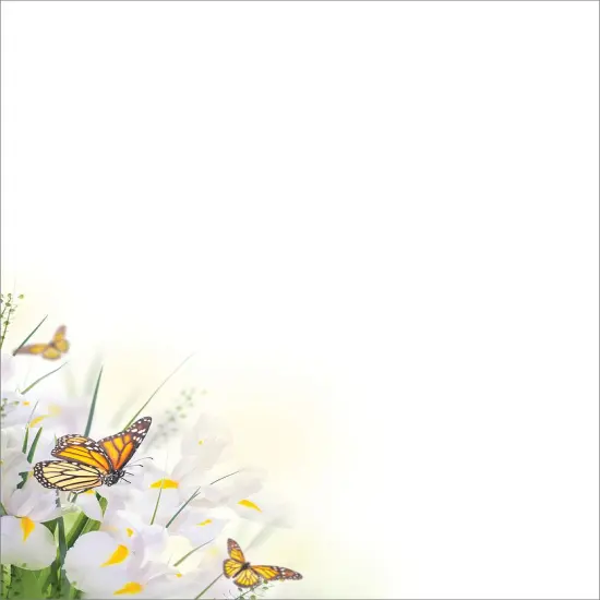 Great Papers! Spring Blossom Butterflies Letterhead, for Invitations, Announcements and Personal Messages, Printer Friendly 8.5&rdquo;x11&rdquo;, 50 Pack {1}