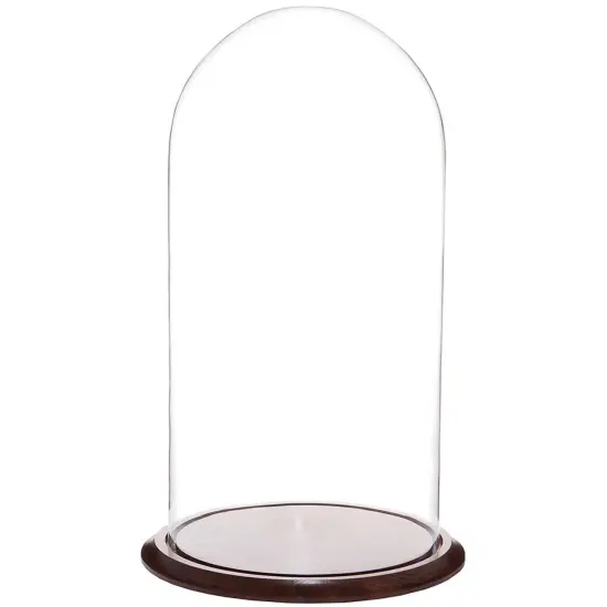 Plymor 11.75" x 23" Glass Display Dome Cloche Oak {2}