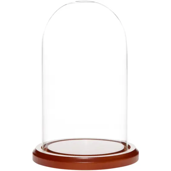 Plymor 4.5" x 8" Glass Display Dome Cloche Dark Mahogany Veneer {2}