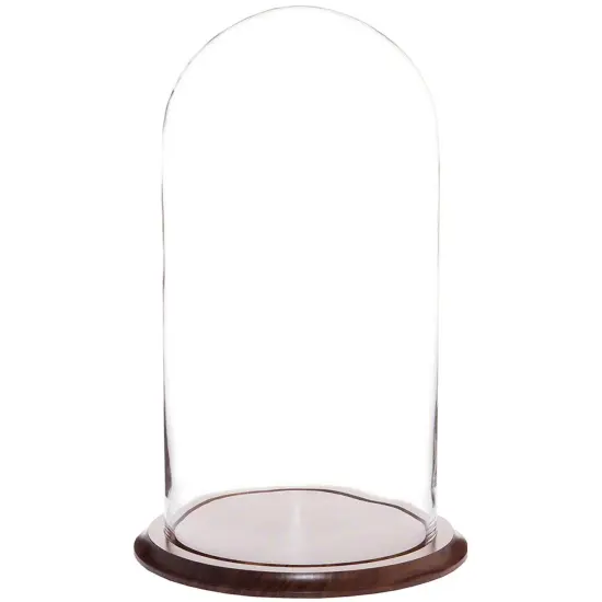 Plymor 9.75" x 20" Glass Display Dome Cloche No Base {2}