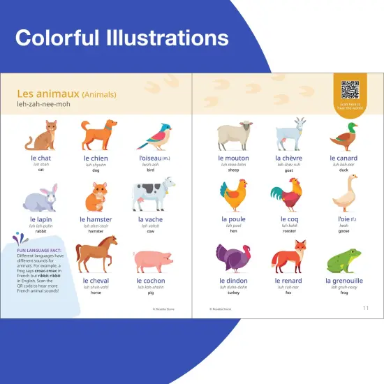 Rosetta Stone French Picture Dictionary, French Dictionary to Learn French Vocabulary and Phrases, Dictionary for Kids and Adults, French English Dictionary {4}