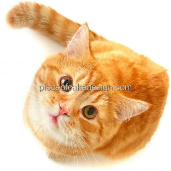 3" Round ~ Cute Orange Cat Aerial Birthday ~ Edible Cake/Cupcake Topper!!! {1}