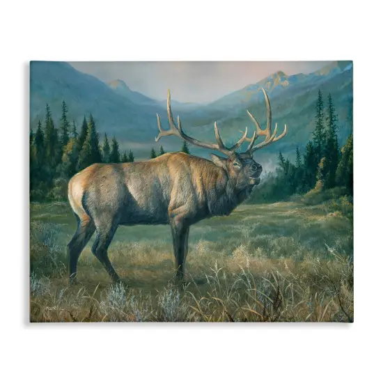 Stupell Industries Powerful Elk in Field Canvas Wall Art Design by Laura Mark-Finberg {1}