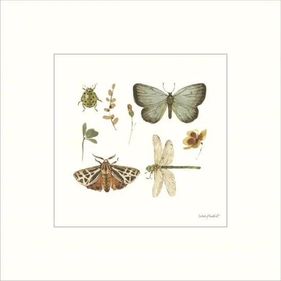 Green Fields XI by Lisa Audit 12" x 12" Canvas Wall Art {2}