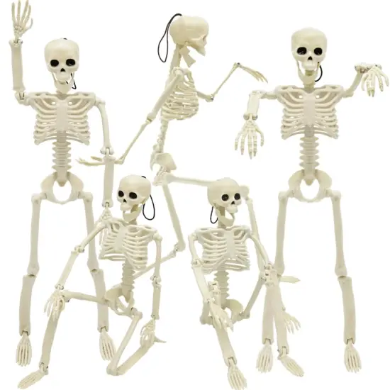 5 Pieces Halloween Skeleton Decorations, 16" Halloween Full Body Mini Skeleton with Movable Posable Joints, Spooky Plastic Skeleton for Yard Garden Lawn Haunted House Graveyard Props Decor {2}